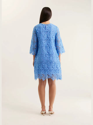 Claire Lace Dress - Cornflower