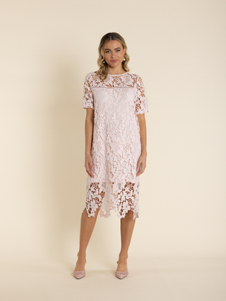 Guipure Lace Dress - Ice Pink